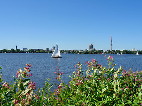 Schöne Aussicht Fotos