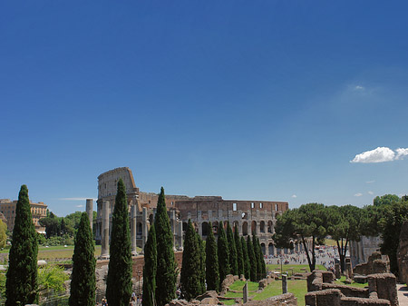 Kolosseum mit dem Forum Romanum Fotos