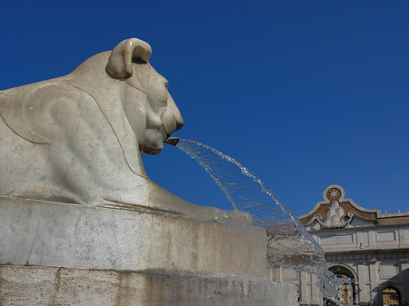 Foto Löwenbrunnen - Rom