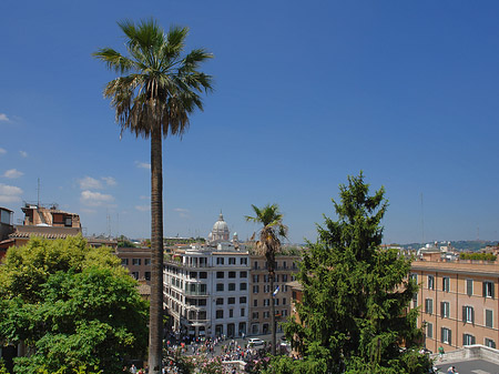 Palme an der Spanischen Treppe Fotos
